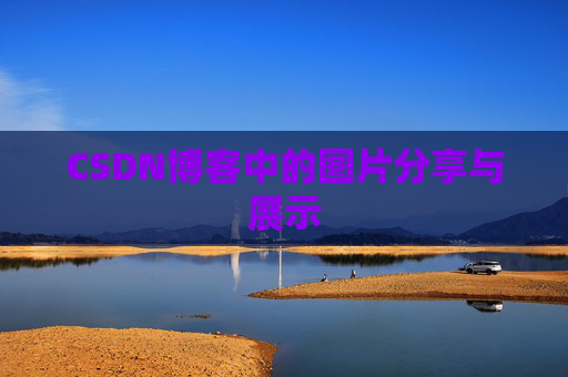 CSDN博客中的图片分享与展示